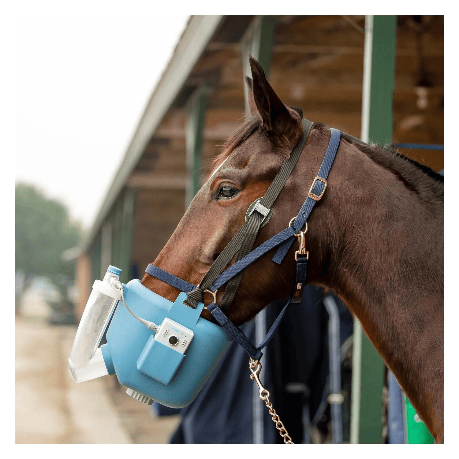 paard vernevelen