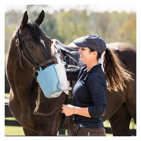 vernevelen paard