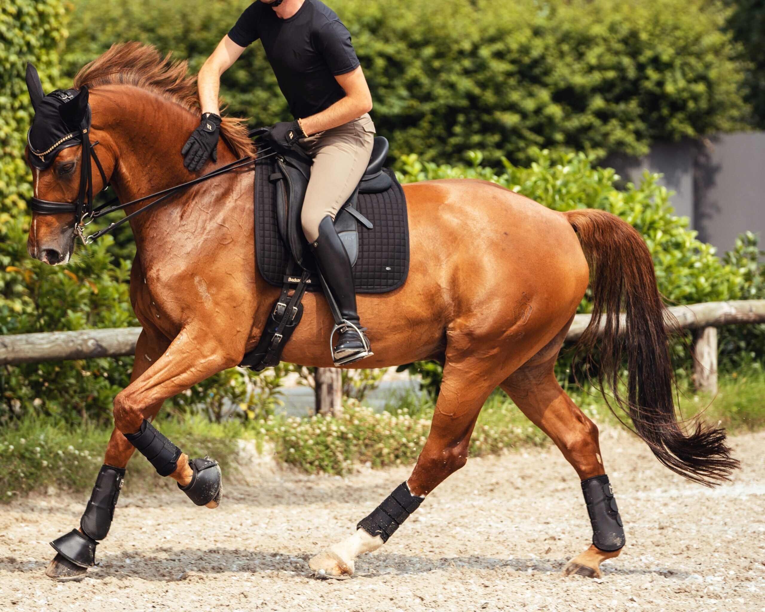 airflow tendon boots