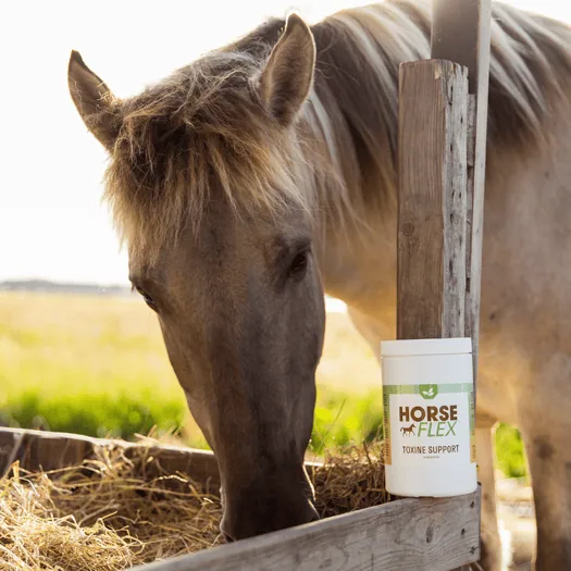 horseflex toxine support